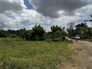 Foreclosed Property - 1,000 sqm in Countryside Estate Alfonso, Cavite