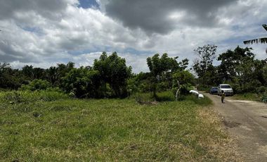 Foreclosed Property - 1,000 sqm in Countryside Estate Alfonso, Cavite