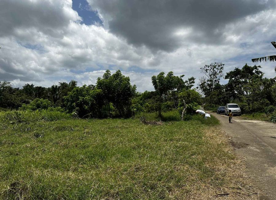 Rodeo Countryside Estate, Mangas II, Esperanza Ilaya, Alfonso, Cavite