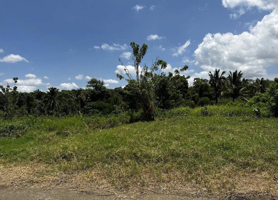 Rodeo Countryside Estate, Mangas II, Esperanza Ilaya, Alfonso, Cavite image 2