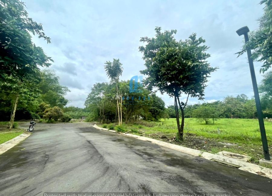 Ciudad Grande, Ibaba, Santa Rosa, Laguna image 2