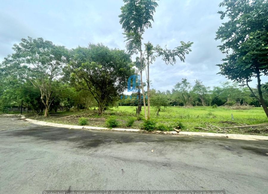 Ciudad Grande, Ibaba, Santa Rosa, Laguna image 3