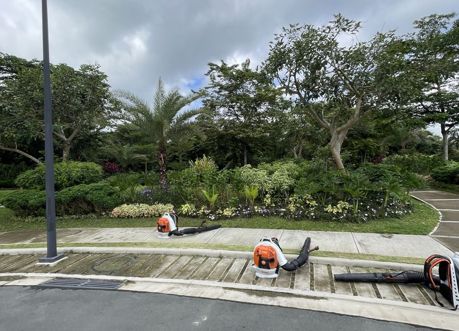 Rockwell Carmelray Drive, Rockwell South at Carmelray, Canlubang, Calamba, Laguna image 3