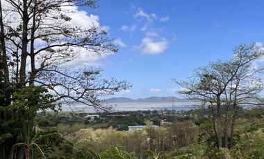 For Sale Agricultural Lot with a Great View of the Windmills in Pililla, Rizal