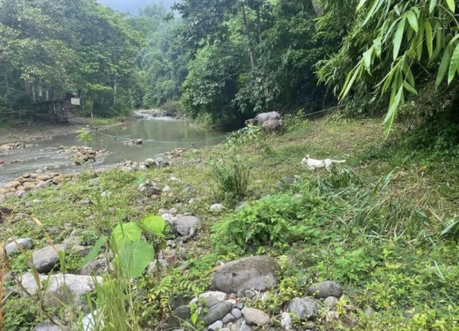 Madilay-dilay, Santa Maria, Laguna image 2