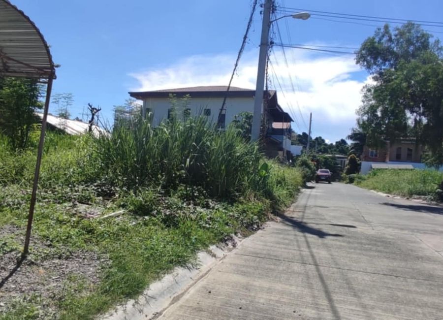 200sqm Lot For sale in Montclair Highlands Robinsons | Lamudi.com.ph