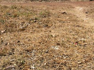 Prime Residential Lot for Sale in Exclusive Southwoods Village, Laguna