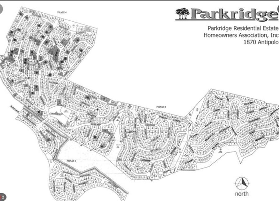 Parkridge Drive, Park Ridge, Santa Cruz, Antipolo, Rizal image 2
