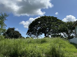Fairway Lot For Sale in Player Course Orchard Golf & Country Club