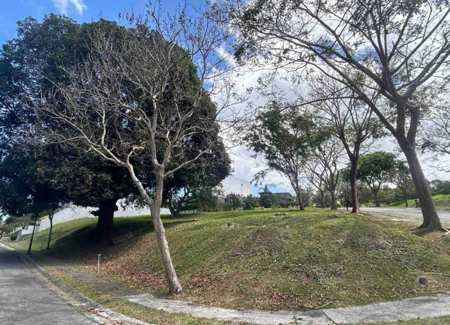 Spine Road, Ayala Greenfield Estates, Maunong, Calamba, Laguna image 2