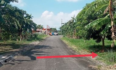 Residential Lot for Sale in Metro Gate subd. Dasmariñas Cavite