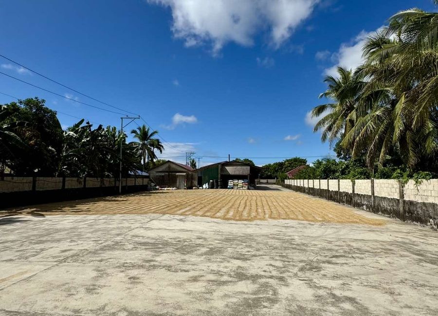 Bacong, Infanta, Quezon image 3