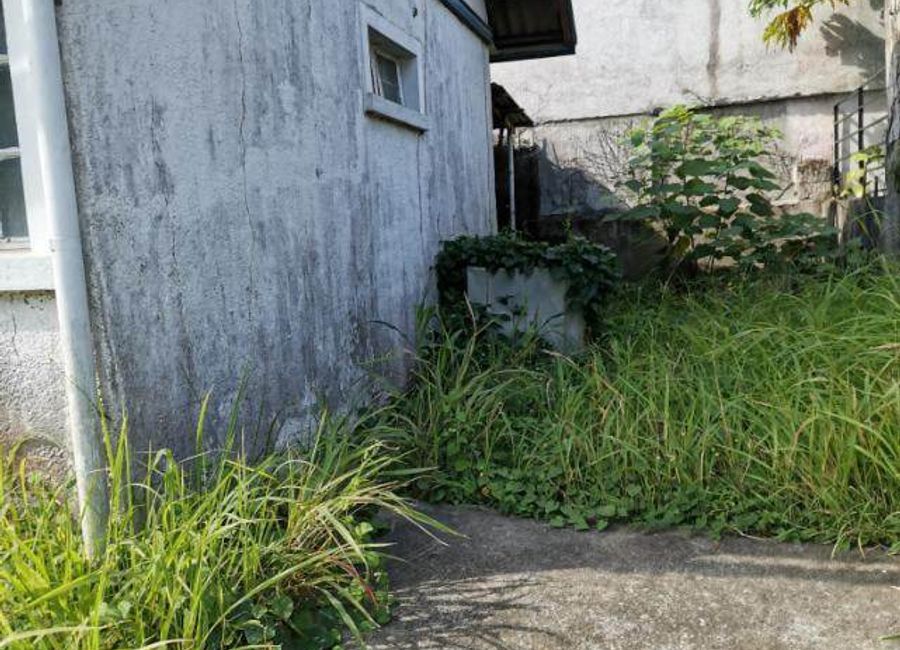Champagne Street, Santa Rosa Village 2, Don Jose, Santa Rosa, Laguna image 3