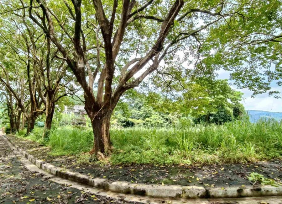 Maguey Road, Sari Manok, San Isidro, Antipolo, Rizal image 3