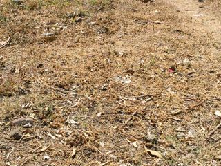 Prime Residential Lot in Portofino Heights for Your Dream Home