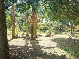 Residential Farm Land in Metro Tagaytay