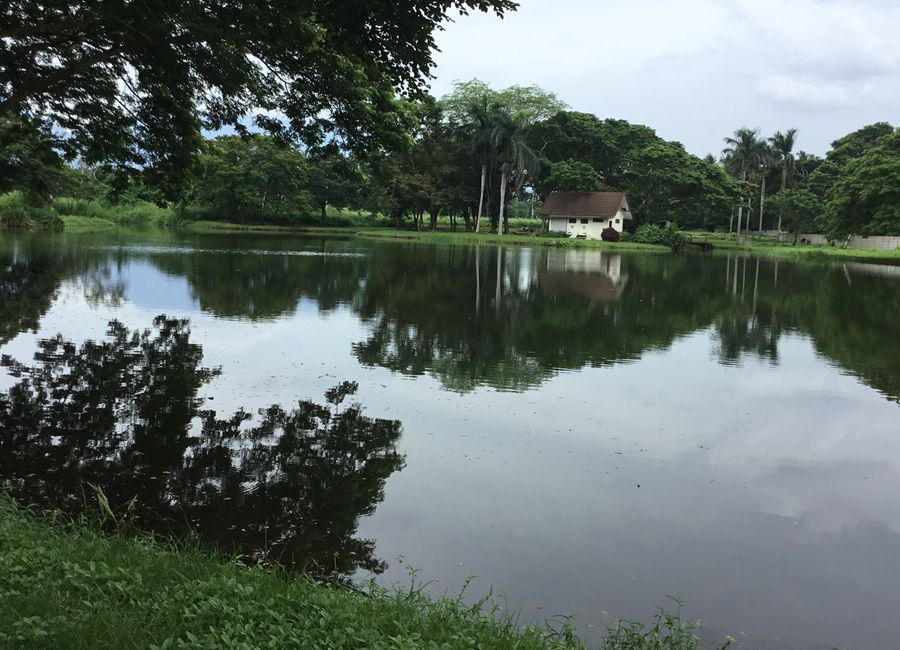 Bulakin, Tiaong, 2nd District, Quezon image 3