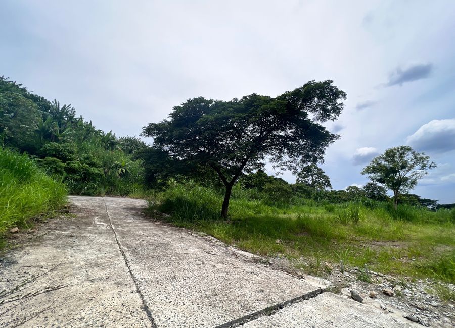 Forest Hills Avenue, Lower Tulakin, Bagong Nayon, Antipolo, Rizal image 2