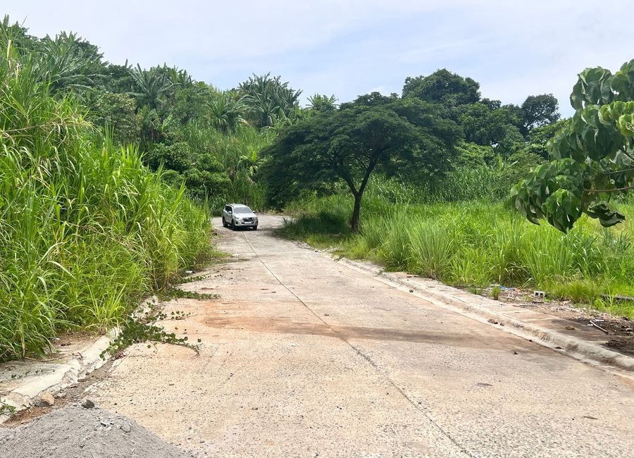 Forest Hills Avenue, Lower Tulakin, Bagong Nayon, Antipolo, Rizal