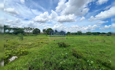 For Sale: 20-hectare Developable Lot in General Trias, Cavite