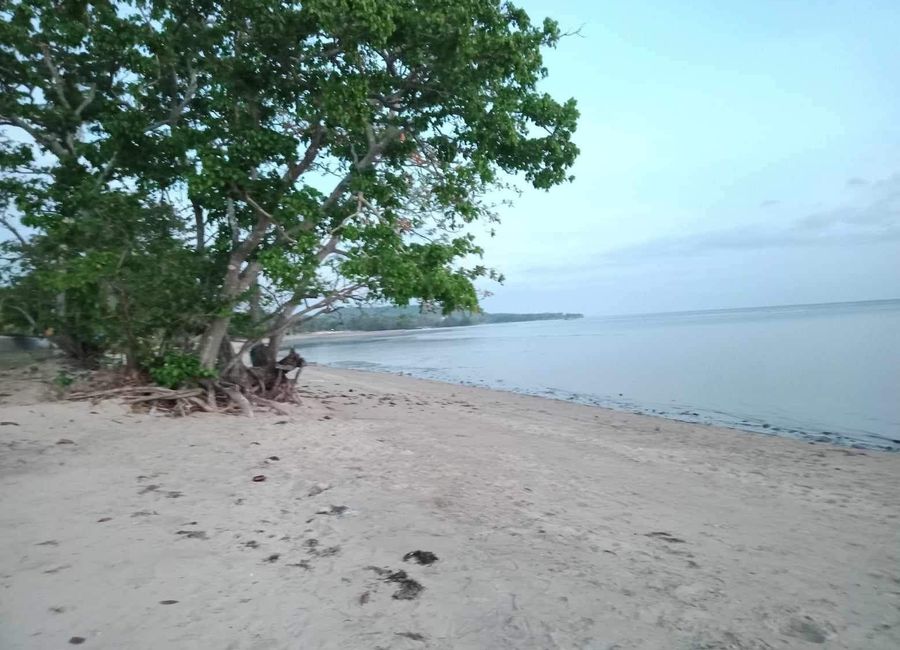 Club Laiya, Laiya-Aplaya, San Juan, Batangas