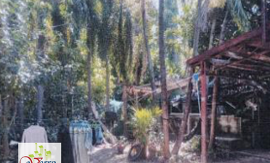 Vacant Commercial Lot for Sale in Almanza Uno, Las Piñas City