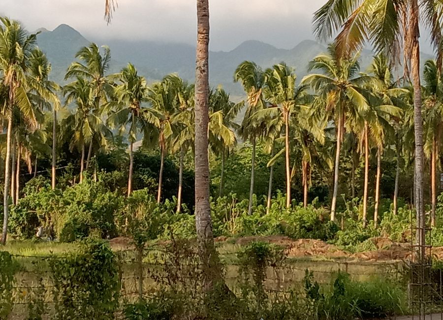Santo Toribio, Santo Toribio, Lipa, Batangas
