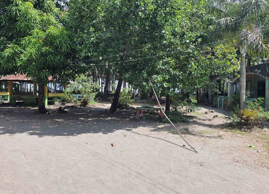 place photo 9