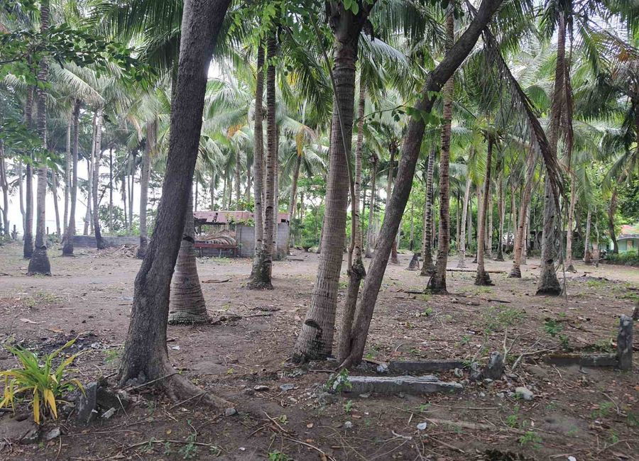 place photo 14