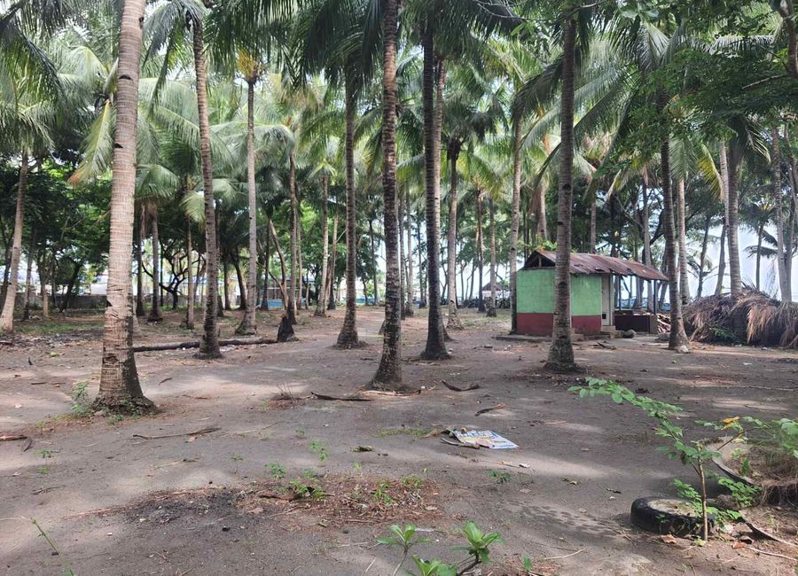 place photo 13