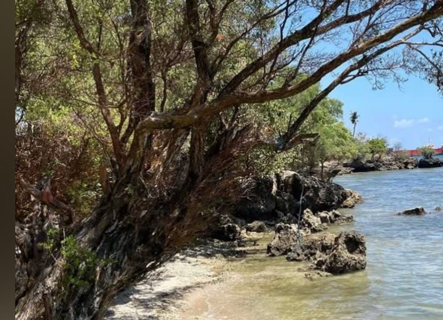 Laiya-Aplaya, San Juan, Batangas