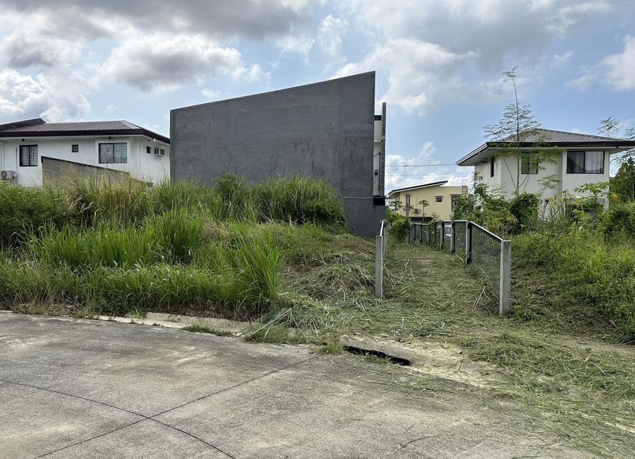 Amazon Street, Avida Woodhill Settings, Canlubang, Calamba, Laguna