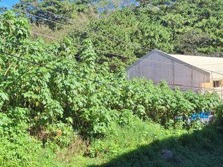 Baguio - 300 m2 Residential Lot with/in a Subdivision with view of trees at the back