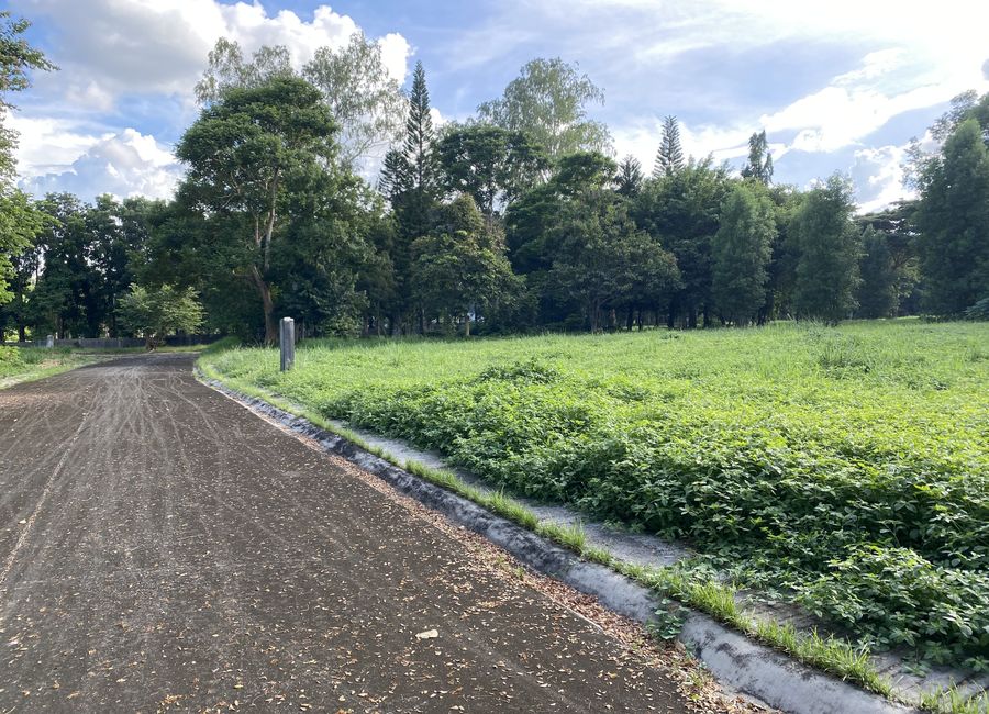Provincial Road, Santo Domingo, Santa Rosa, Laguna image 3