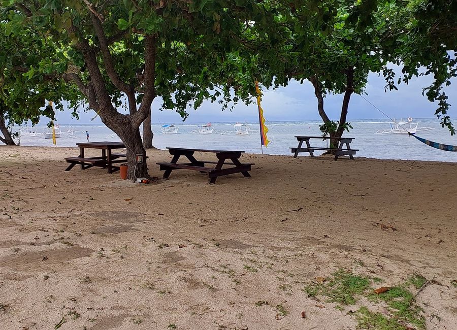 place photo 15