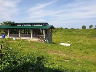 Farm Lot with Piggery for sale in Talisay, Calatagan, Batangas