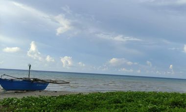 Beach Lot for Sale in Negros Occidental
