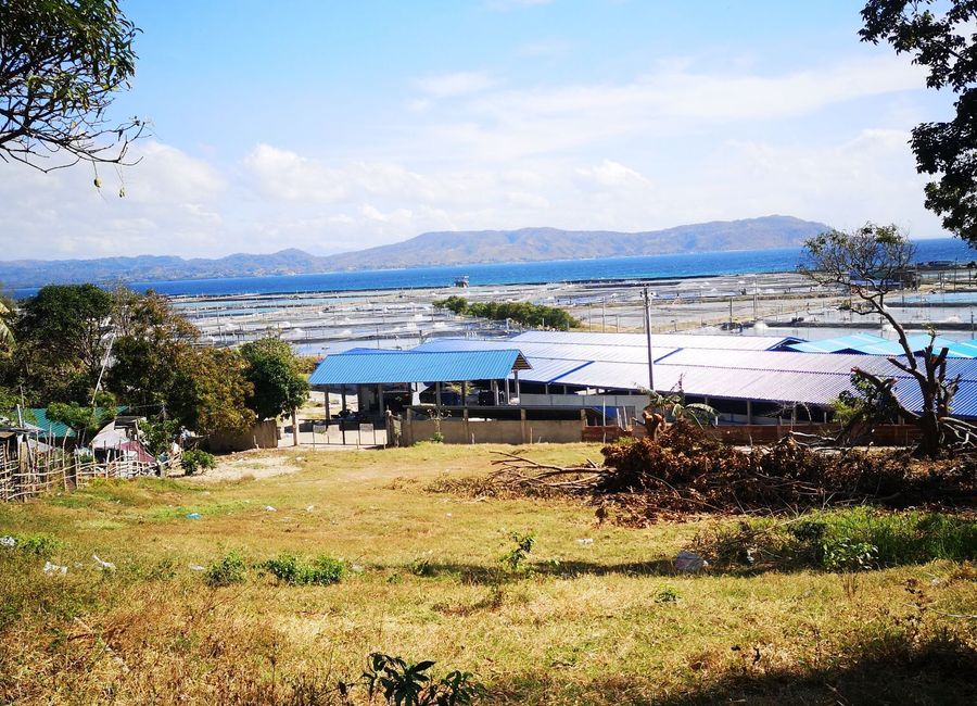 Calatagan-Lian Hwy., Poblacion II, Bagong Silang, Calatagan, Batangas image 2