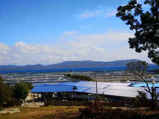 2450 sqm vacant lot with 180degree seaview in elevated area of Calatagan