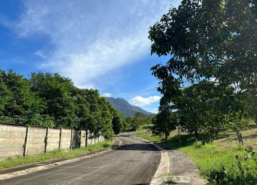 Spine Road, Ayala Greenfield Estates, Maunong, Calamba, Laguna