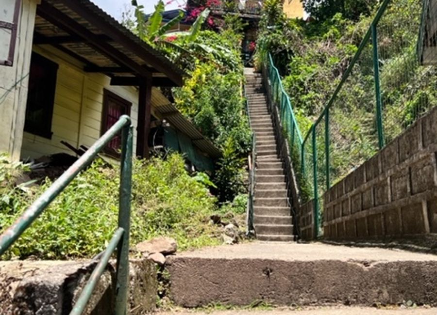 For Sale Vacation Home On A Hill with View P7.9M Amsing Road Pacdal ...