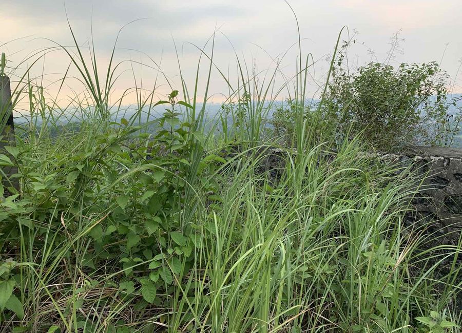Malanday, San Mateo, Rizal