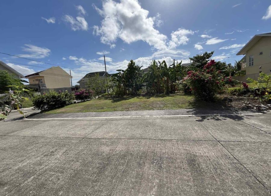 Don Jose, Santa Rosa, Laguna image 3