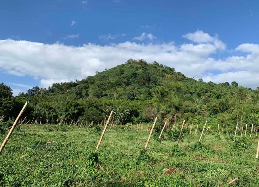 San Marcos, San Pablo, Laguna