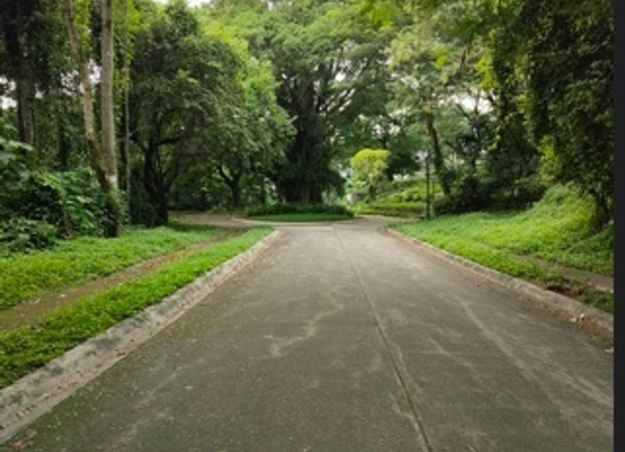 Sycamore Street, Forest Farms, Mahabang Parang, Angono, Rizal image 3