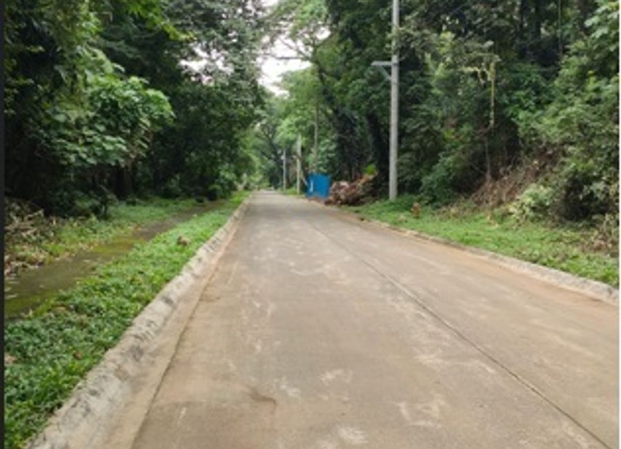 Sycamore Street, Forest Farms, Mahabang Parang, Angono, Rizal image 2