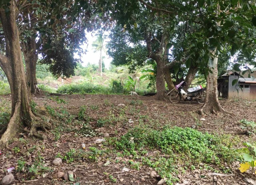Pililla, Rizal image 2