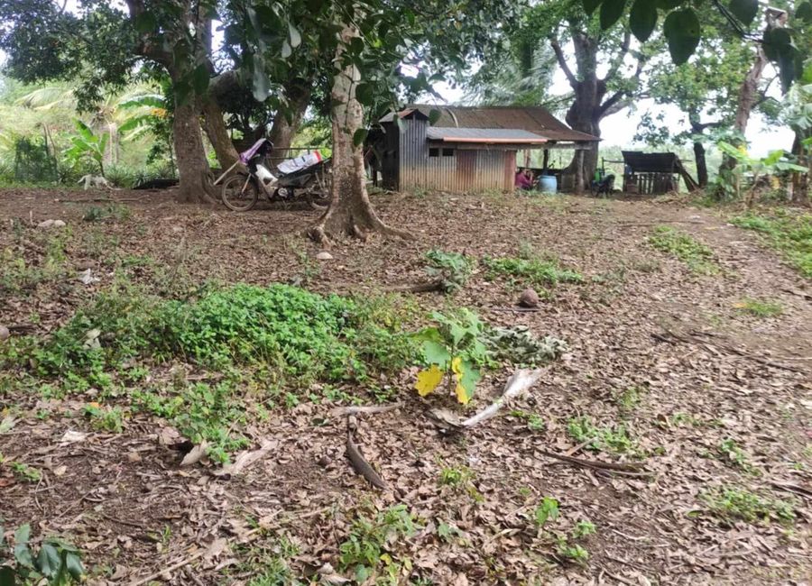 Pililla, Rizal image 3