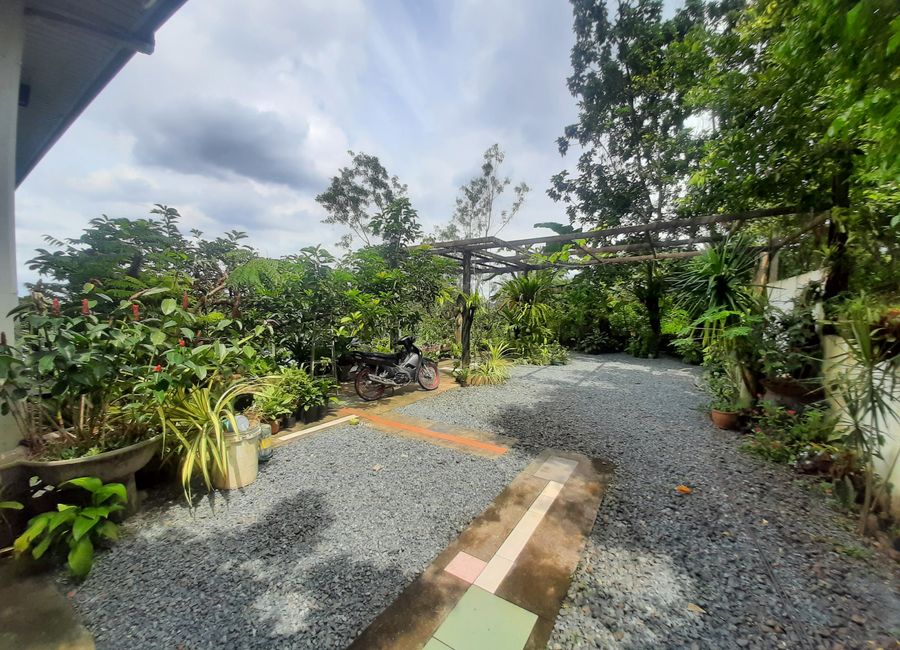 Thyme Street, Mandala South, Timberland Heights, San Mateo, Rizal image 3
