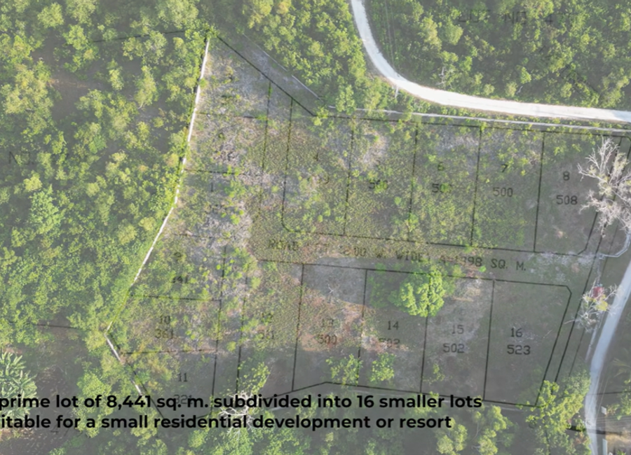 place photo 9